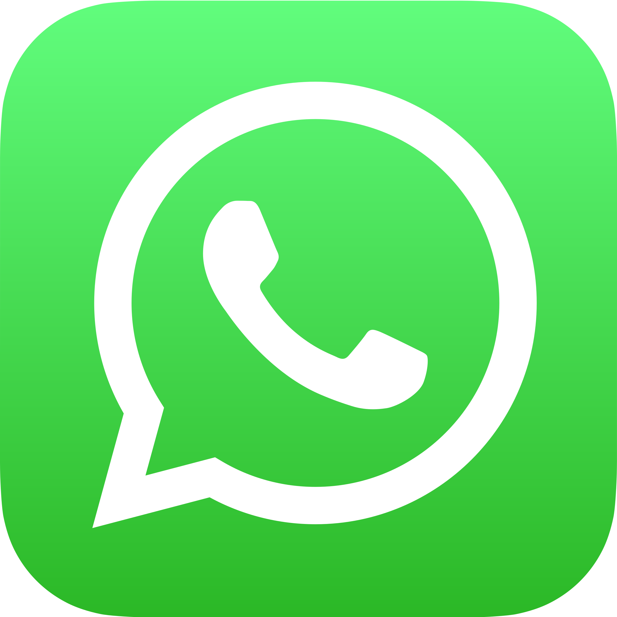 WhatsApp support channel icon